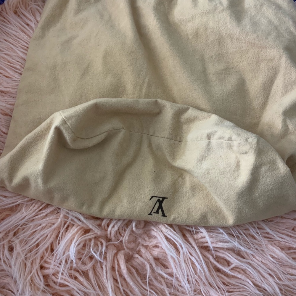 Authentic LV dust bag